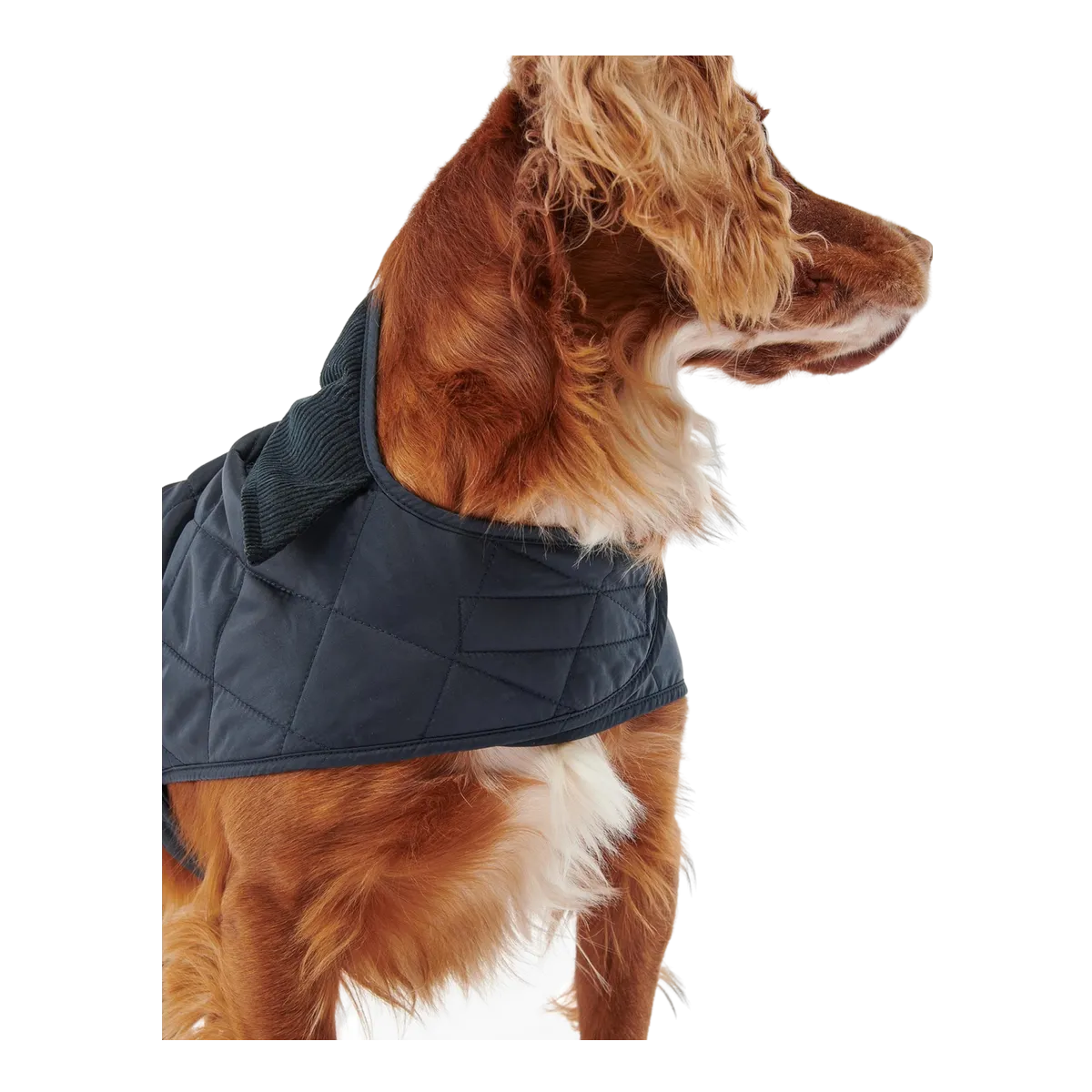 Barbour Quilted Dog Coat