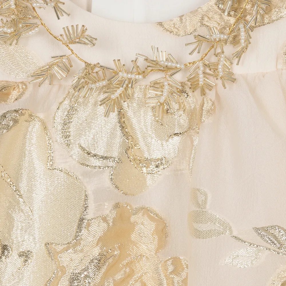 Beige & Gold Embroidered Dress