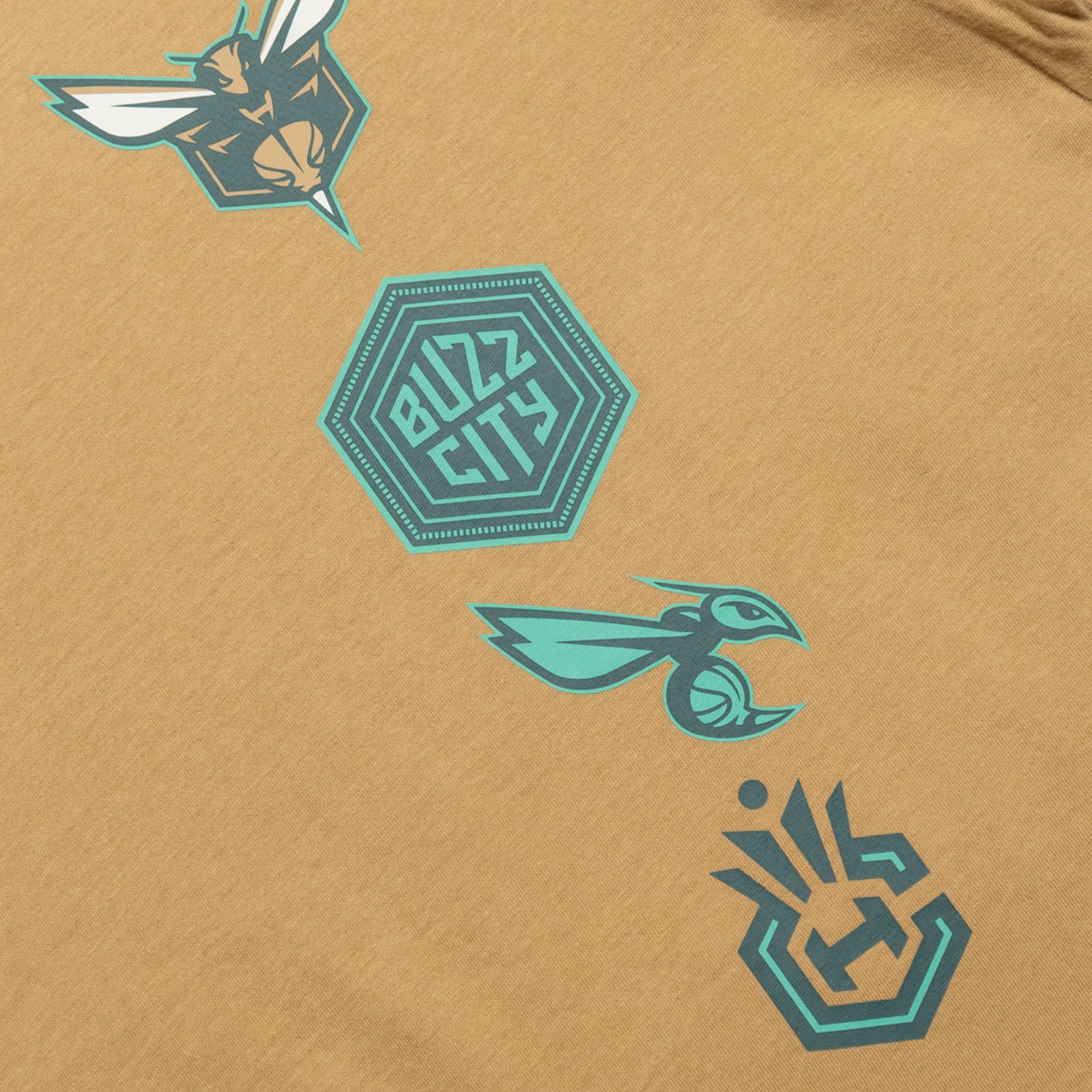 Charlotte Hornets 2024 City Edition T-Shirt